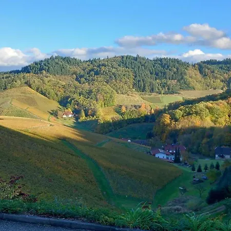 Schwarzwaldglueck * 오버키르히