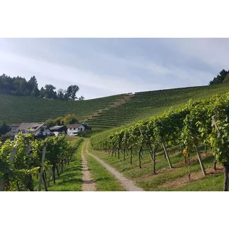 Schwarzwaldglueck 아파트