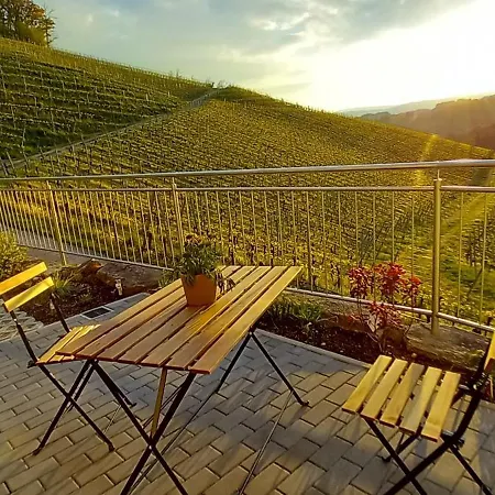 아파트 Schwarzwaldglueck *