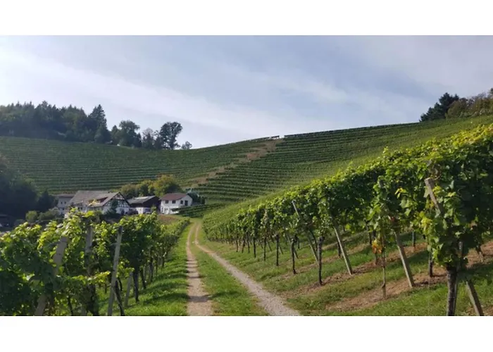 Schwarzwaldglueck Lägenhet